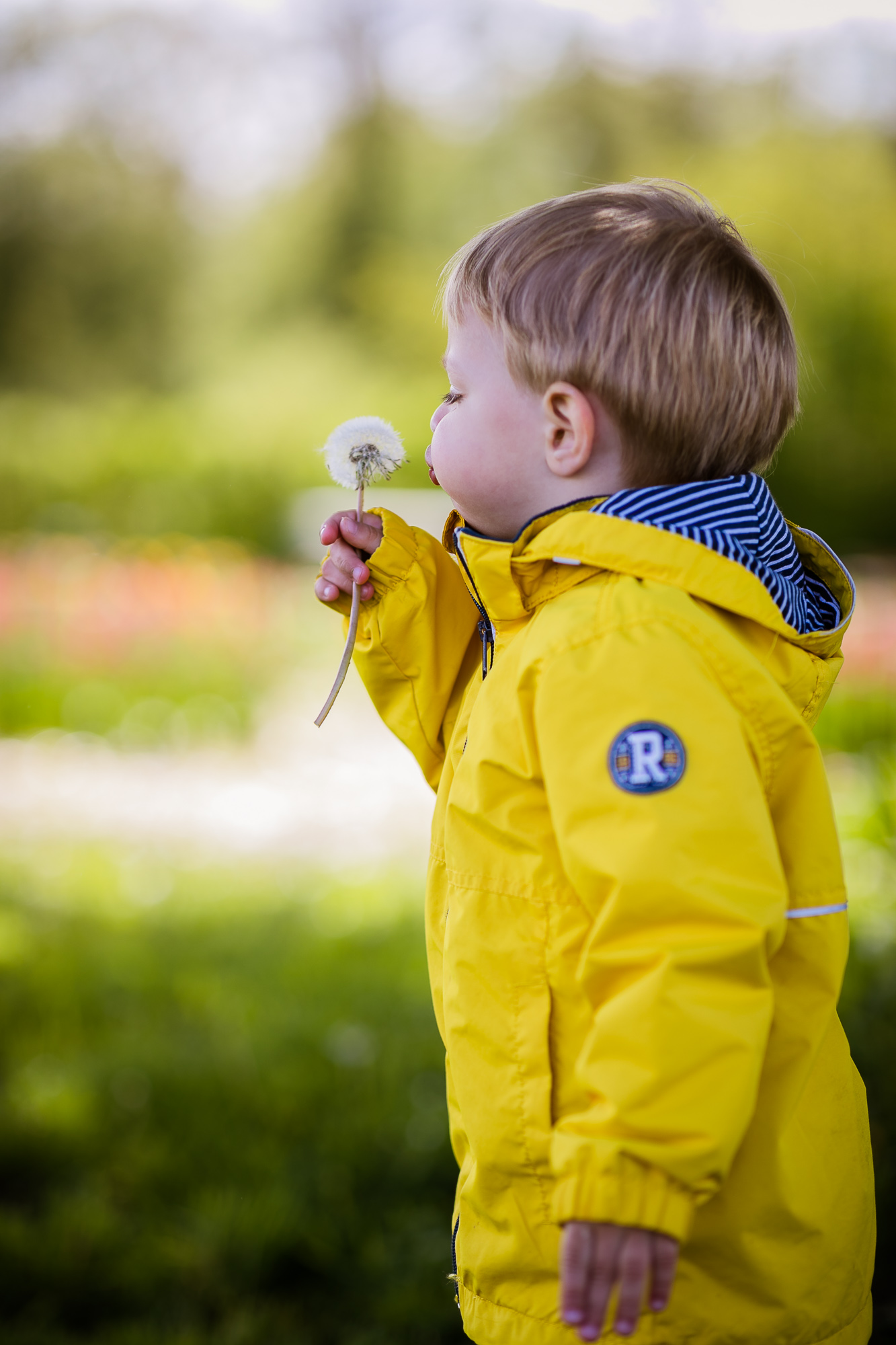 Export x3 1DX28290 Familienfotoshooting 2019 Hefti